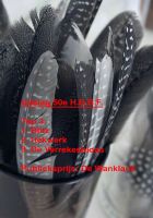 2024-01-28 50e HBBF 78 2024-01-28 50e HBBF 78